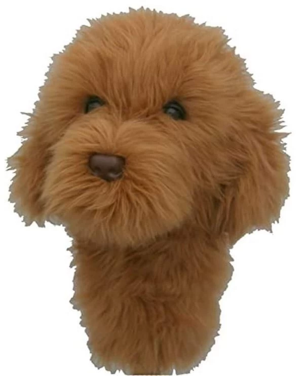 Daphne HEADCOVER DOODLE DOG 1 Daphne HEADCOVER DOODLE DOG