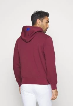 Lacoste Sport Golf Sport Club Hoody - Hoodie - Zin -Charmant Golfen Winkel aed956c82b3d49b2baaacbeb0697c1ce
